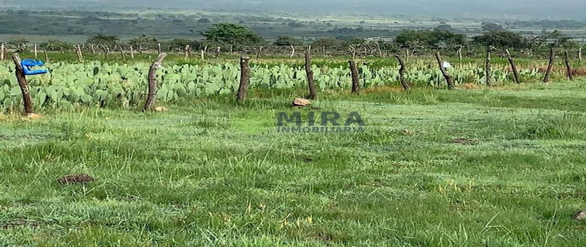 Foto de terreno habitacional en venta en  , la estancia, morelia, michoacán de ocampo, 0 No. 03