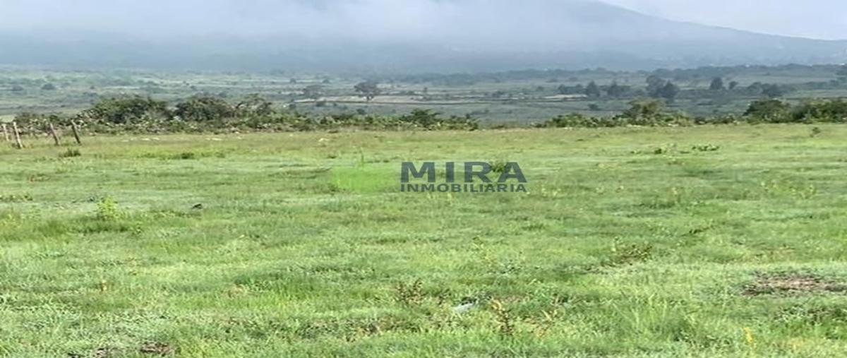 Foto de terreno habitacional en venta en  , la estancia, morelia, michoacán de ocampo, 0 No. 04