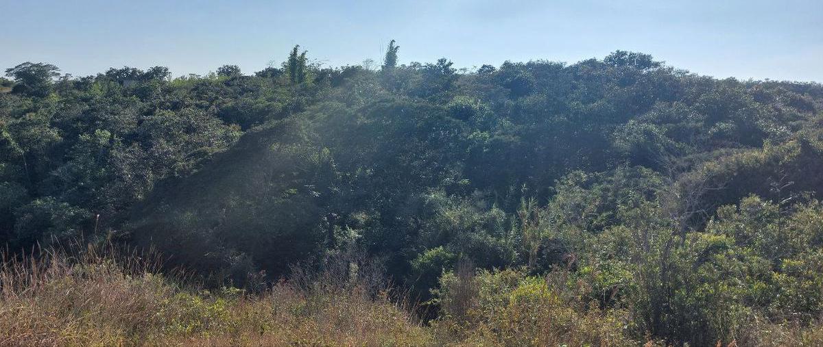 Foto de terreno habitacional en venta en  , la estanzuela, emiliano zapata, veracruz de ignacio de la llave, 0 No. 04