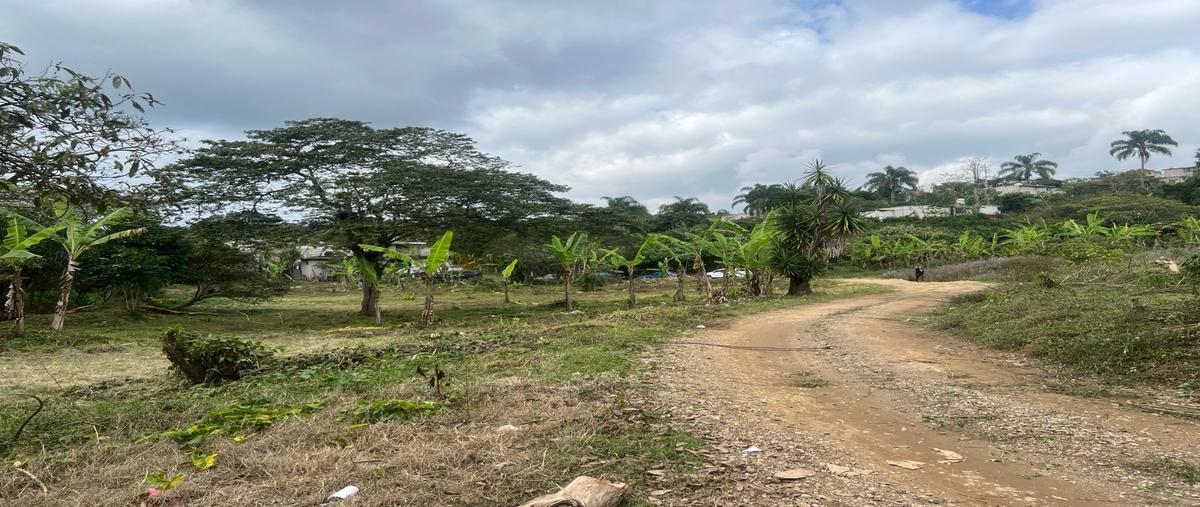 Foto de terreno habitacional en venta en  , la estanzuela, emiliano zapata, veracruz de ignacio de la llave, 0 No. 04