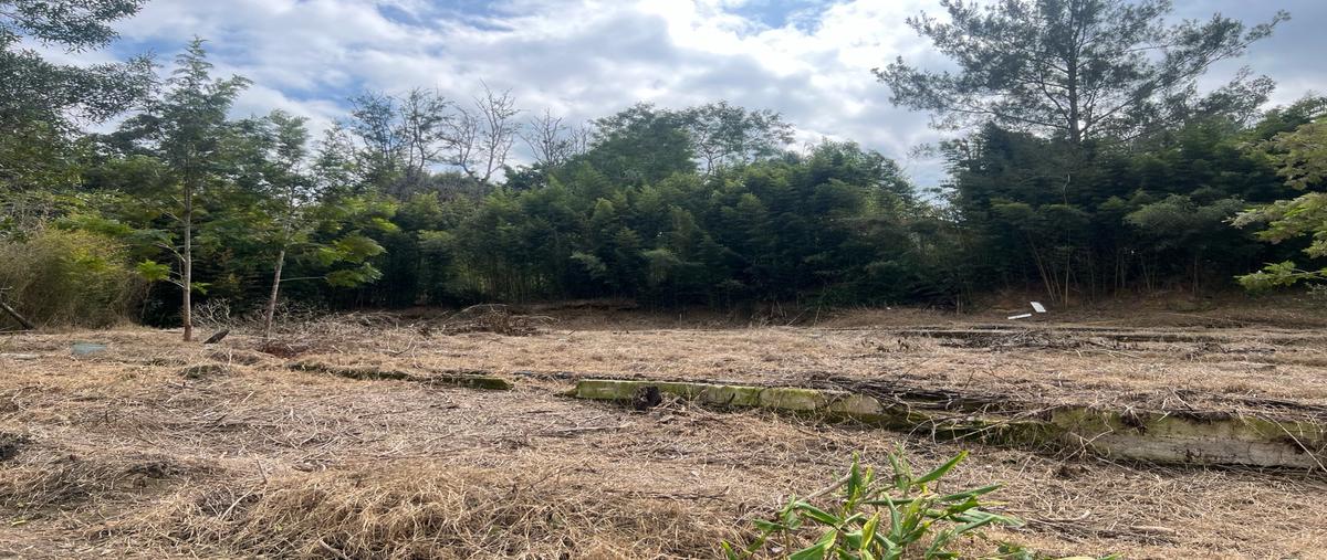 Foto de terreno habitacional en venta en  , la estanzuela, emiliano zapata, veracruz de ignacio de la llave, 0 No. 05