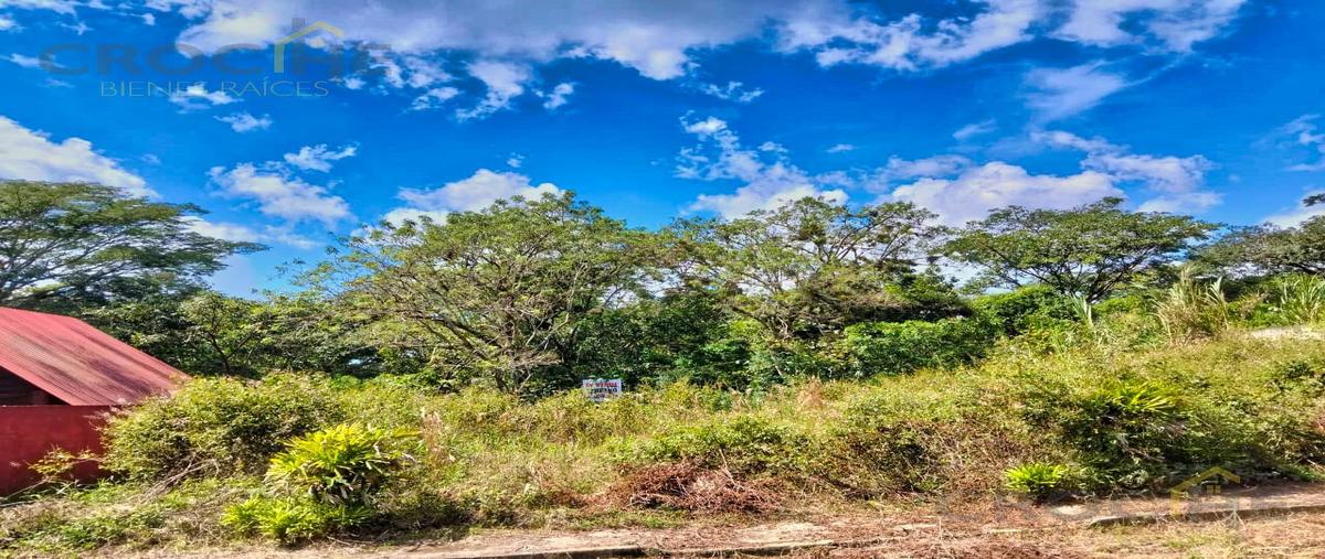 Foto de terreno habitacional en venta en  , la estanzuela, emiliano zapata, veracruz de ignacio de la llave, 0 No. 03