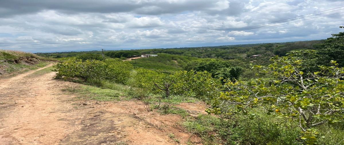 Foto de terreno habitacional en venta en  , la estanzuela, emiliano zapata, veracruz de ignacio de la llave, 0 No. 05