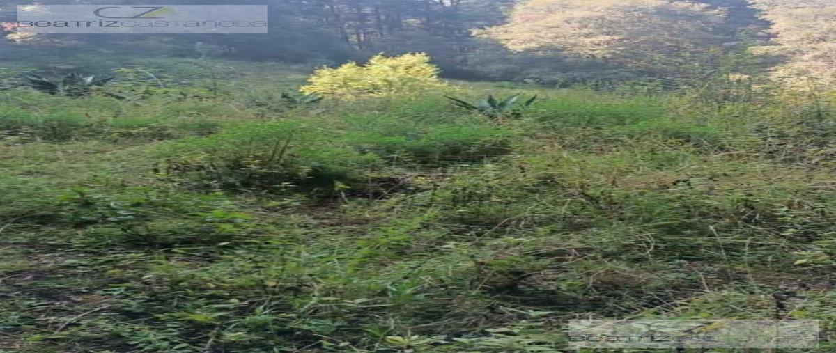 Foto de terreno habitacional en venta en  , la estanzuela, mineral del chico, hidalgo, 0 No. 05