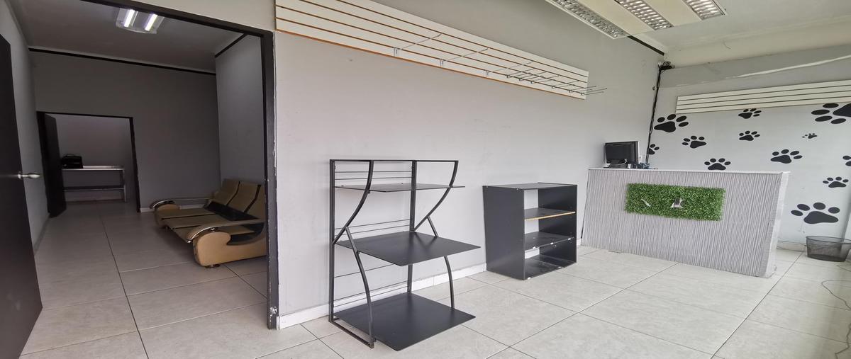 Foto de local en renta en  , la estanzuela, monterrey, nuevo león, 30269552 No. 05