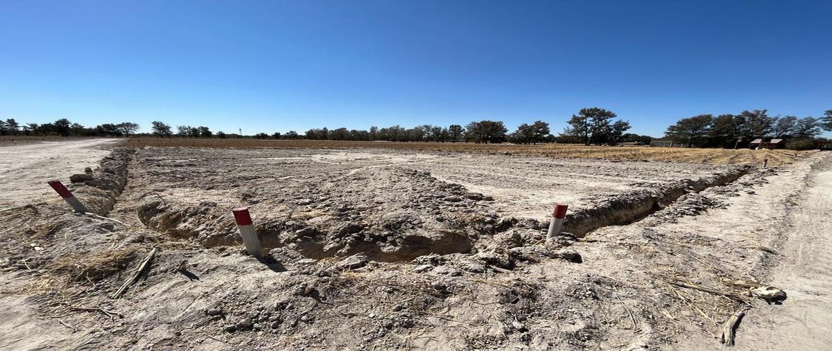 Foto de terreno habitacional en venta en  , la estrella, lagos de moreno, jalisco, 0 No. 03