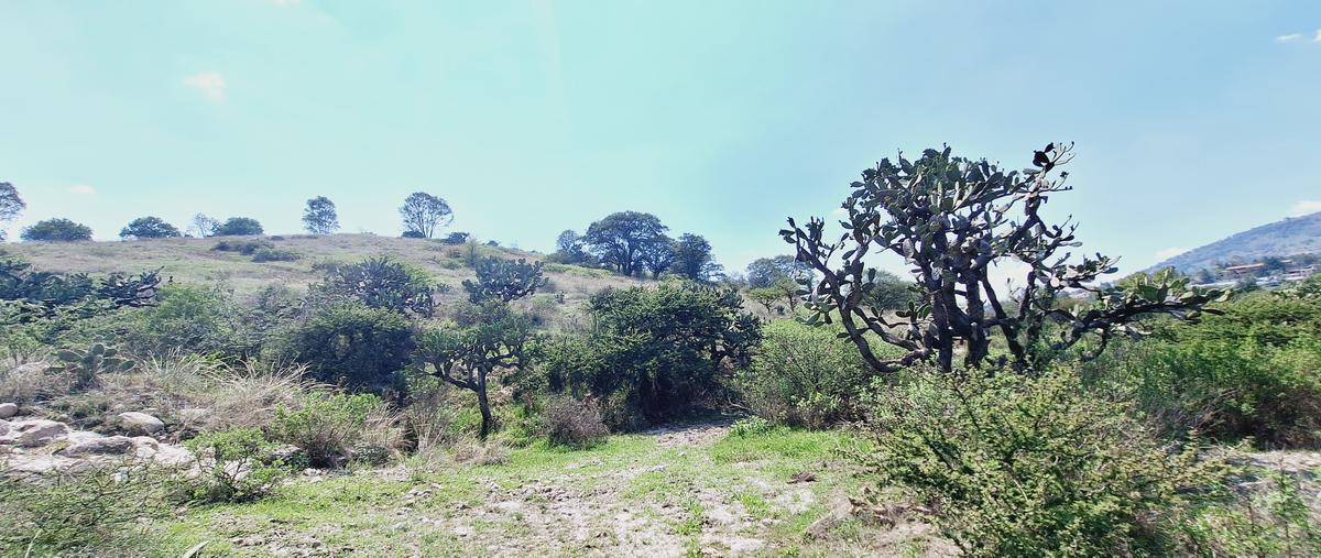 Foto de terreno comercial en venta en la ex mina , cañada de cisneros, tepotzotlán, méxico, 29955945 No. 04