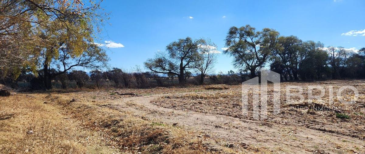 Foto de terreno habitacional en venta en  , la ferreria (cuatro de octubre), durango, durango, 0 No. 03