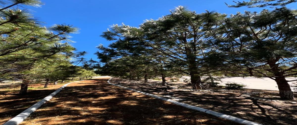 Foto de terreno habitacional en venta en  , la ferreria (cuatro de octubre), durango, durango, 30016128 No. 04