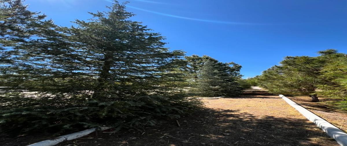 Foto de terreno habitacional en venta en  , la ferreria (cuatro de octubre), durango, durango, 30016128 No. 05