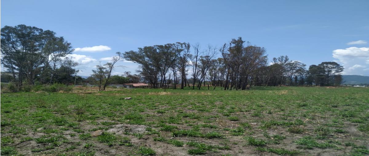 Foto de rancho en venta en  , la finca, villa guerrero, méxico, 26606960 No. 03