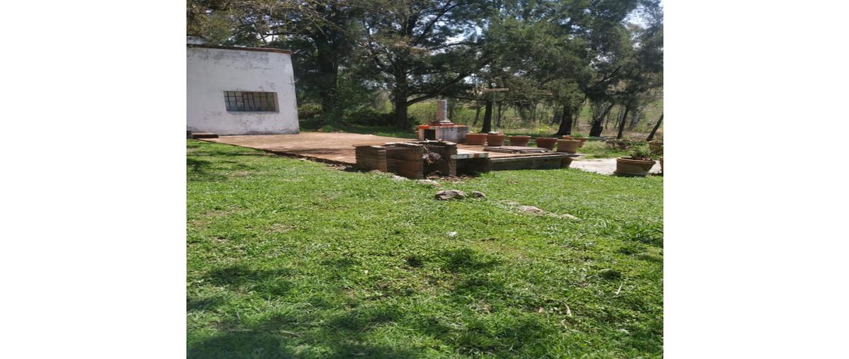 Foto de rancho en venta en  , la finca, villa guerrero, méxico, 26606960 No. 04