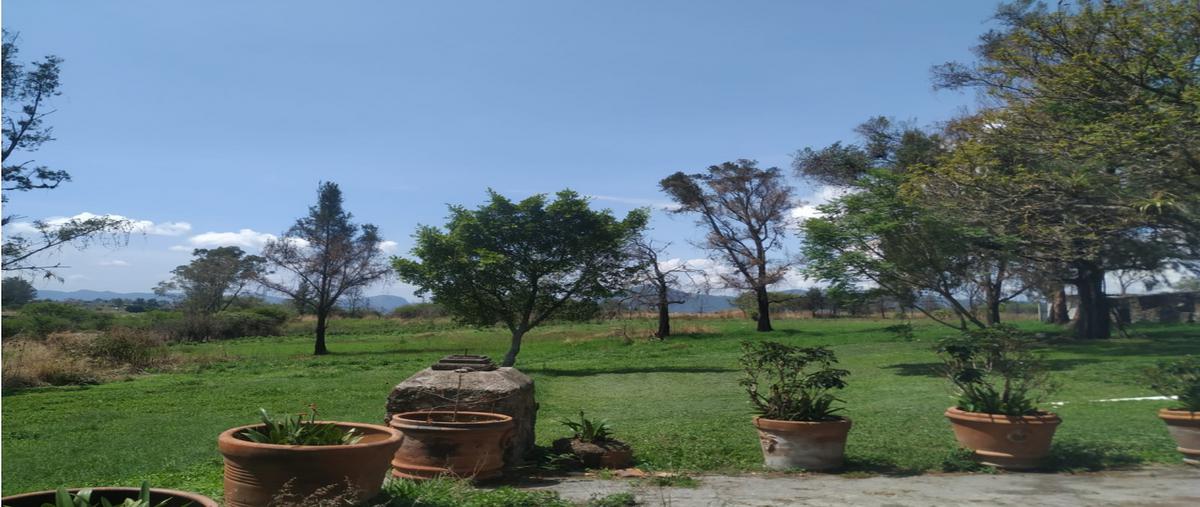 Foto de rancho en venta en  , la finca, villa guerrero, méxico, 26606960 No. 05
