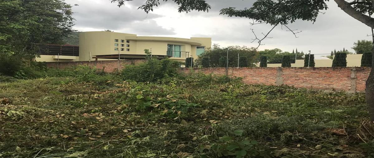Foto de terreno habitacional en venta en la floresta , ajijic centro, chapala, jalisco, 25860004 No. 03