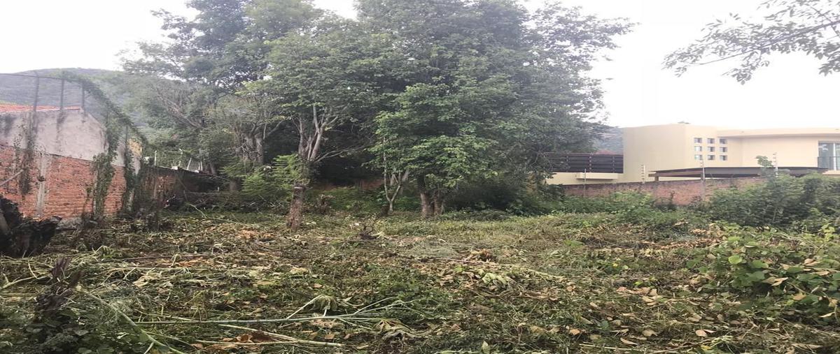 Foto de terreno habitacional en venta en la floresta , ajijic centro, chapala, jalisco, 25860004 No. 04