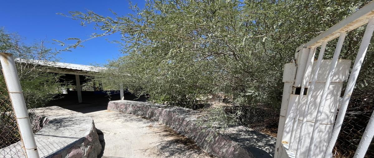 Foto de terreno habitacional en venta en  , la fortuna, la paz, baja california sur, 0 No. 04