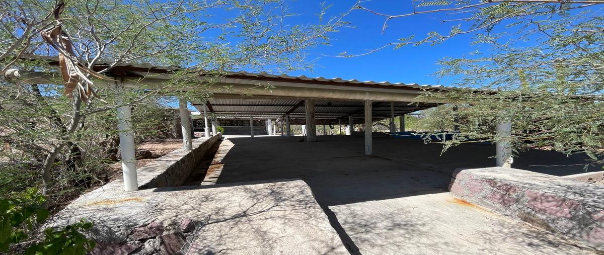 Foto de terreno habitacional en venta en  , la fortuna, la paz, baja california sur, 30409471 No. 05