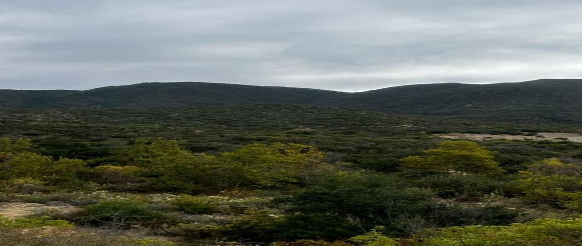 Foto de terreno habitacional en la fortuna , san antonio de las minas, ensenada, baja california, 27772821 foto 04 Foto de terreno habitacional en venta en la fortuna , san antonio de las minas, ensenada, baja california, 27772821 No. 04