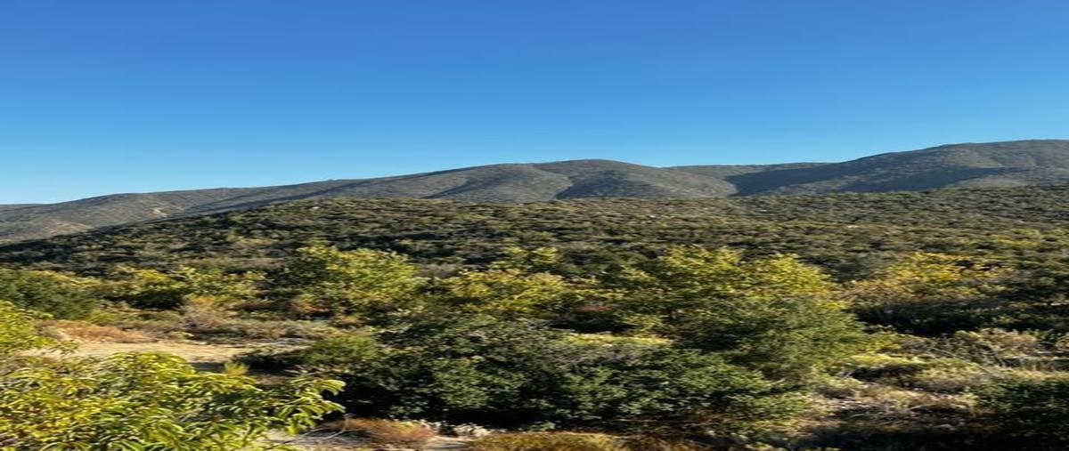 Foto de terreno habitacional en la fortuna , san antonio de las minas, ensenada, baja california, 27772821 foto 05 Foto de terreno habitacional en venta en la fortuna , san antonio de las minas, ensenada, baja california, 27772821 No. 05