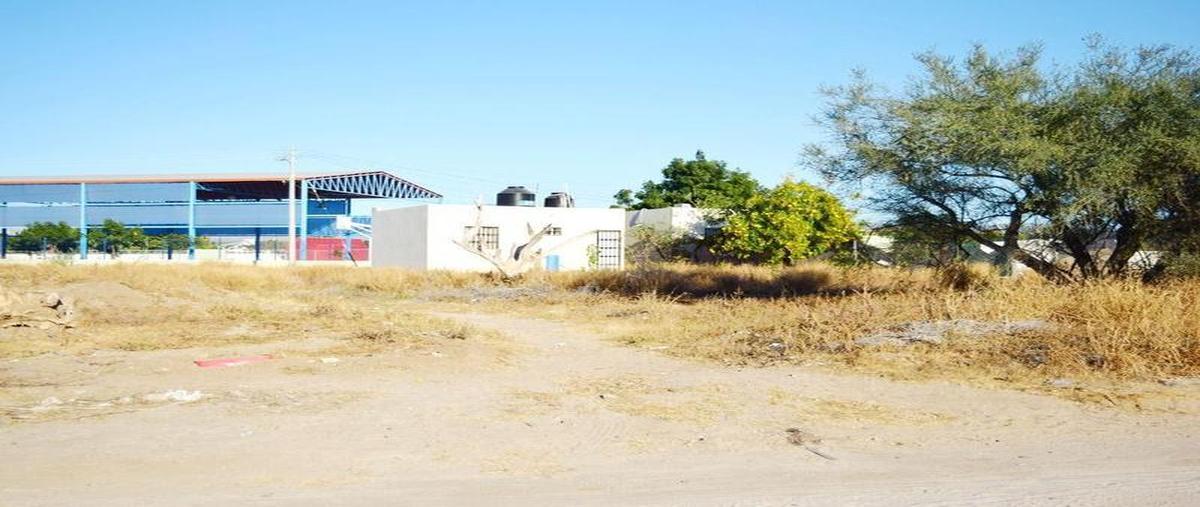 Foto de terreno habitacional en venta en  , la fuente, la paz, baja california sur, 30298190 No. 04