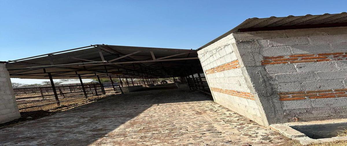 Foto de terreno habitacional en venta en  , la fuente, tequisquiapan, querétaro, 29123743 No. 04