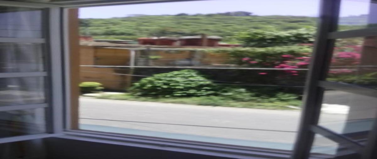 Foto de departamento en renta en  , la gachupina, coatepec, veracruz de ignacio de la llave, 0 No. 04