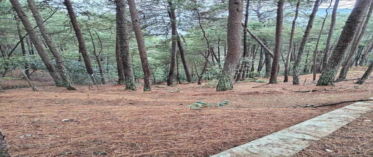 Foto de terreno habitacional en venta en la garita , la garita, san cristóbal de las casas, chiapas, 0 No. 03