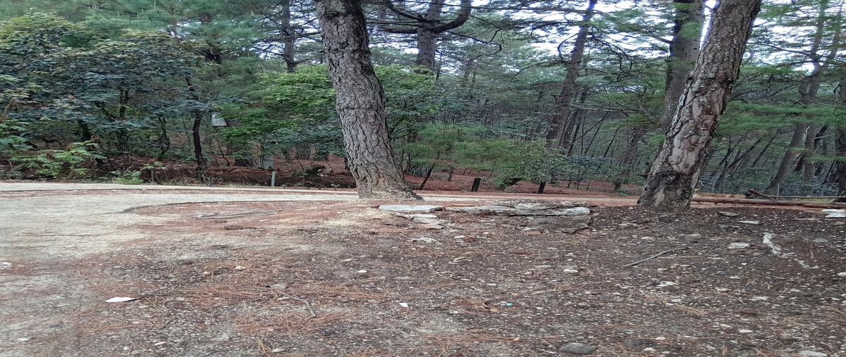 Foto de terreno habitacional en venta en la garita , la garita, san cristóbal de las casas, chiapas, 0 No. 05