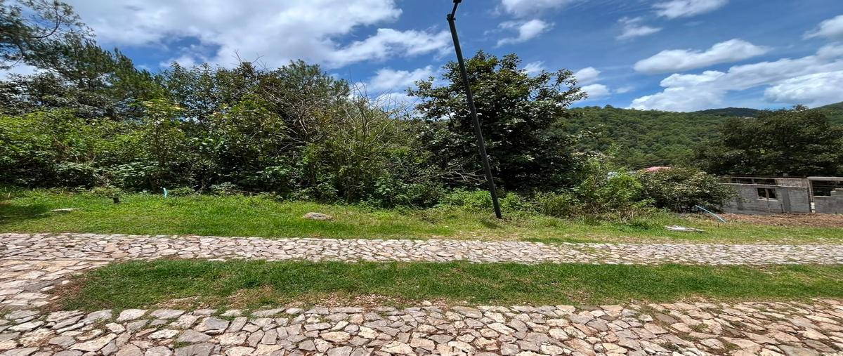 Foto de terreno habitacional en venta en  , la garita, san cristóbal de las casas, chiapas, 0 No. 04