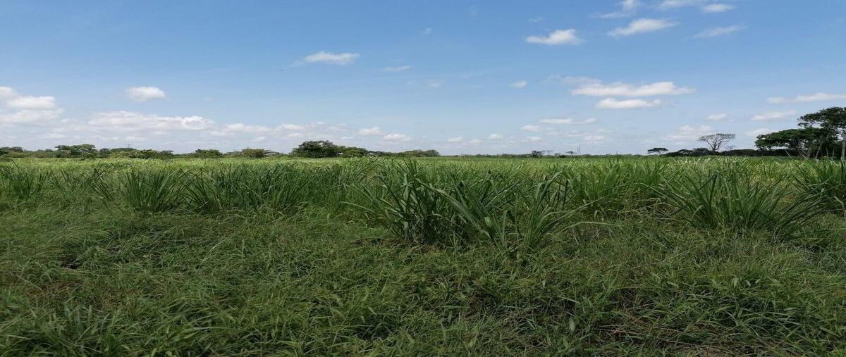 Foto de rancho en venta en  , la gran lucha, buctzotz, yucatán, 0 No. 05