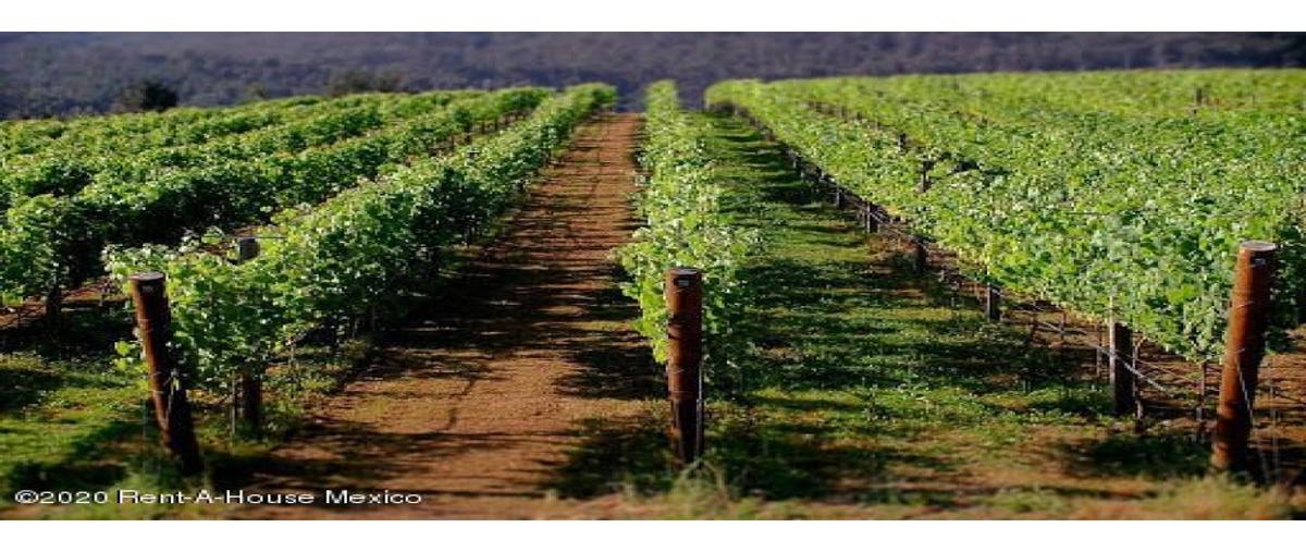 Foto de terreno habitacional en venta en  , la griega, el marqués, querétaro, 27707186 No. 05