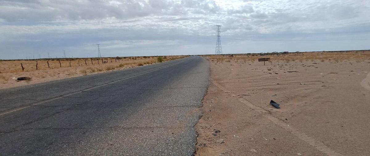 Foto de terreno habitacional en , la grullita, san luis río colorado, sonora, 0 foto 03 Foto de terreno habitacional en venta en , la grullita, san luis río colorado, sonora, 0 No. 03