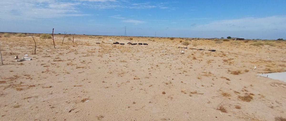 Foto de terreno habitacional en , la grullita, san luis río colorado, sonora, 0 foto 04 Foto de terreno habitacional en venta en , la grullita, san luis río colorado, sonora, 0 No. 04