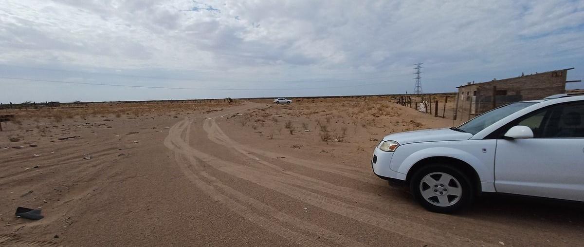 Foto de terreno habitacional en , la grullita, san luis río colorado, sonora, 0 foto 05 Foto de terreno habitacional en venta en , la grullita, san luis río colorado, sonora, 0 No. 05