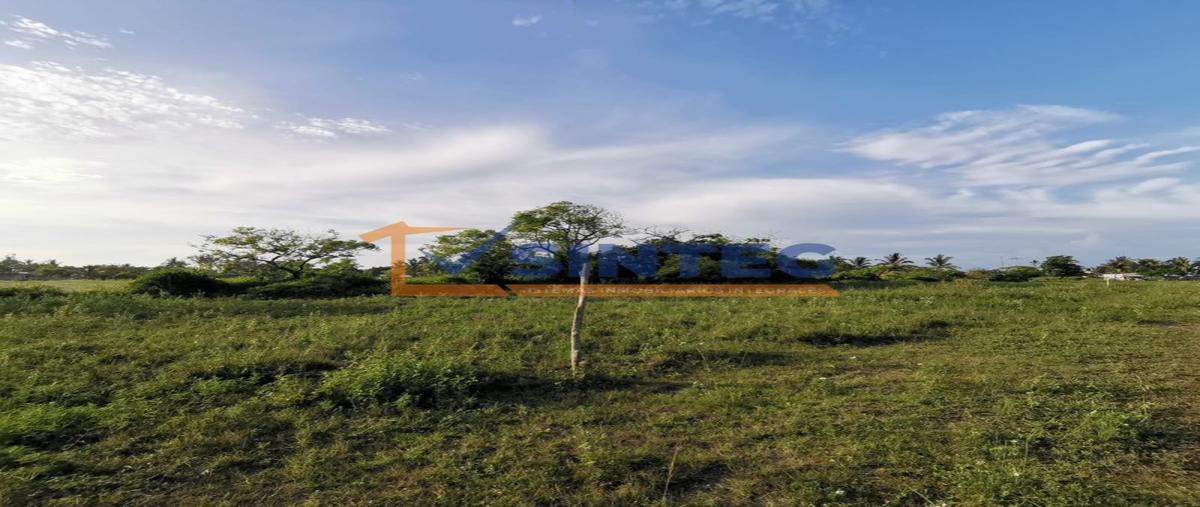 Foto de terreno habitacional en venta en  , la guadalupe, tecolutla, veracruz de ignacio de la llave, 0 No. 03