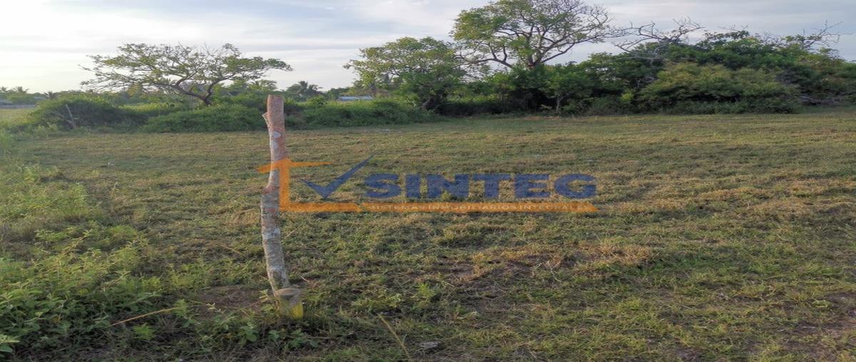 Foto de terreno habitacional en venta en  , la guadalupe, tecolutla, veracruz de ignacio de la llave, 0 No. 04