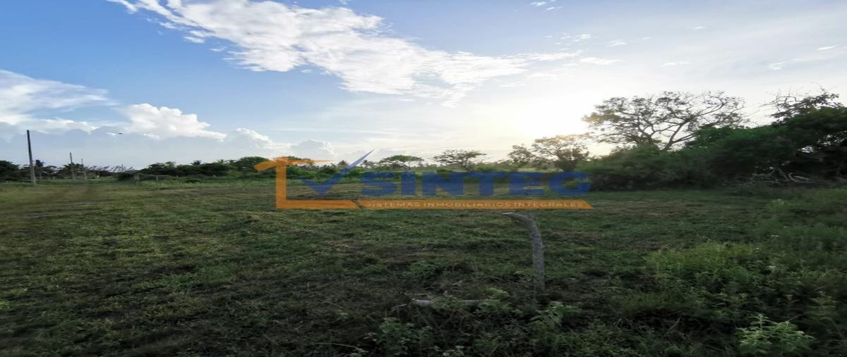 Foto de terreno habitacional en venta en  , la guadalupe, tecolutla, veracruz de ignacio de la llave, 0 No. 05