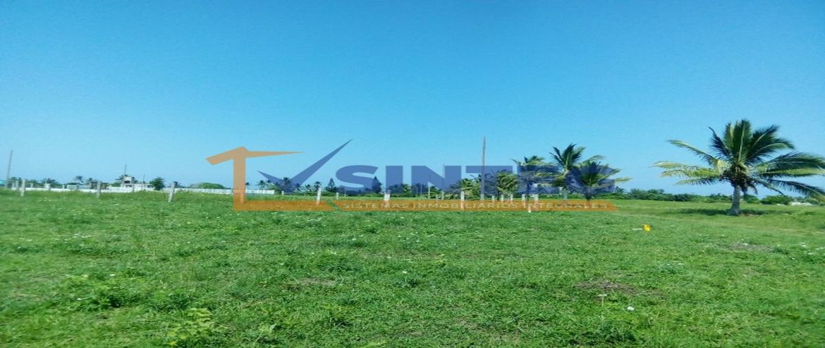 Foto de terreno habitacional en venta en  , la guadalupe, tecolutla, veracruz de ignacio de la llave, 0 No. 04