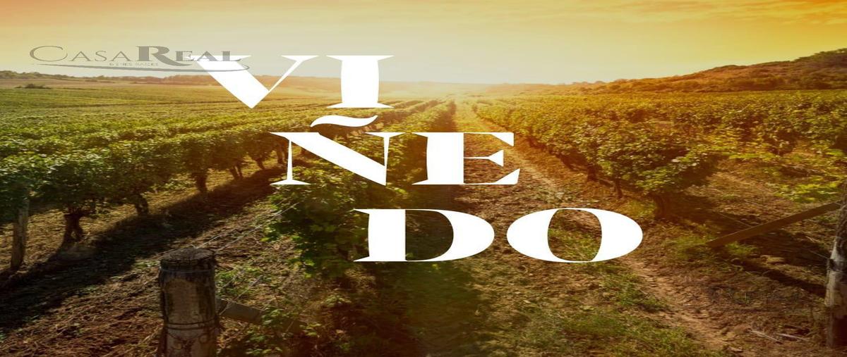 Foto de terreno habitacional en venta en  , la haciendita, chihuahua, chihuahua, 0 No. 05