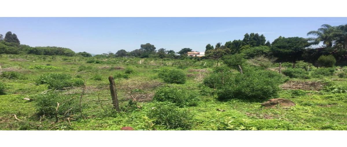 Foto de terreno habitacional en venta en  , la herradura, cuernavaca, morelos, 0 No. 05