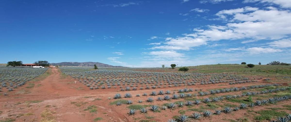 Foto de rancho en venta en la higuera , el arenal, el arenal, jalisco, 26222394 No. 02