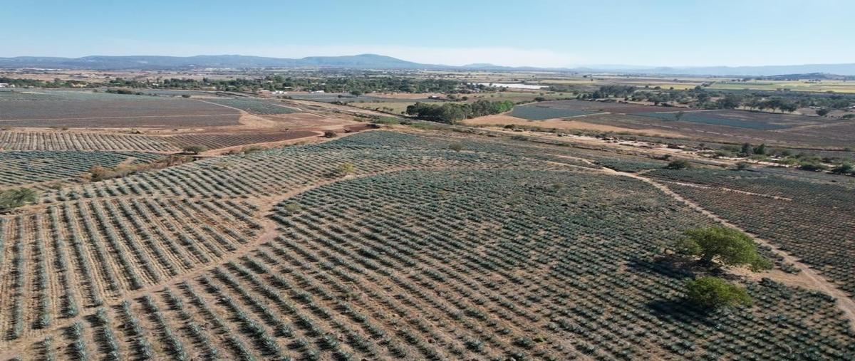 Foto de rancho en venta en la higuera , el arenal, el arenal, jalisco, 26222394 No. 03