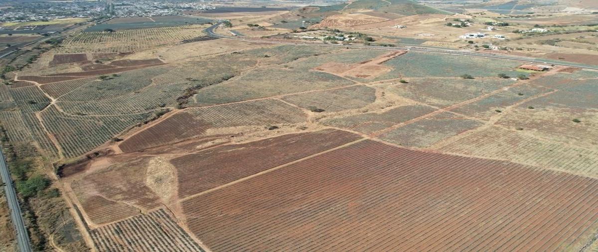 Foto de rancho en venta en la higuera , el arenal, el arenal, jalisco, 26222394 No. 05