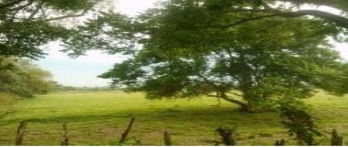 Foto de rancho en venta en la huasteca , la huasteca 1ra. sección, centro, tabasco, 0 No. 03