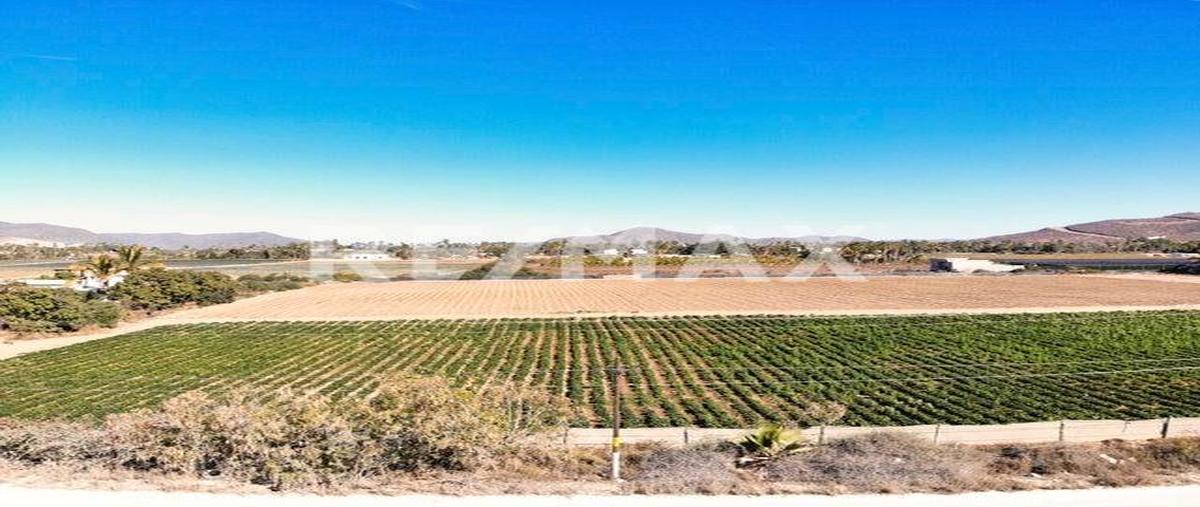 Foto de terreno comercial en venta en la huerta , el pescadero, la paz, baja california sur, 26962632 No. 04