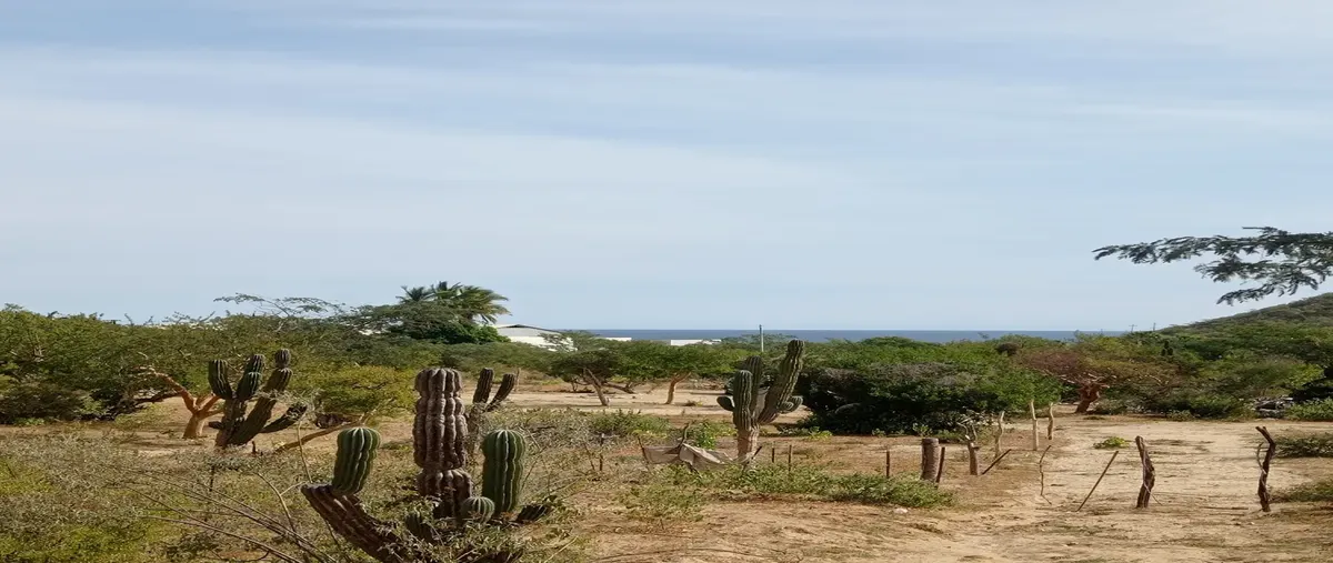Foto de terreno habitacional en venta en la iguana 1, los barriles, la paz, baja california sur, 30291546 No. 01