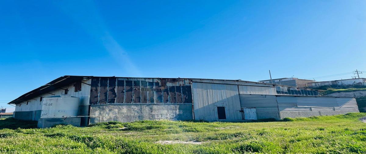 Foto de bodega en renta en  , la jolla, tijuana, baja california, 0 No. 03