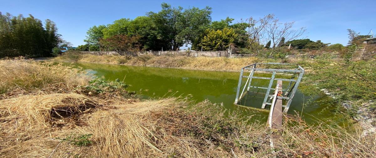 Foto de rancho en venta en  , la joya (agropecuaria tenextepec), atlixco, puebla, 26527351 No. 02