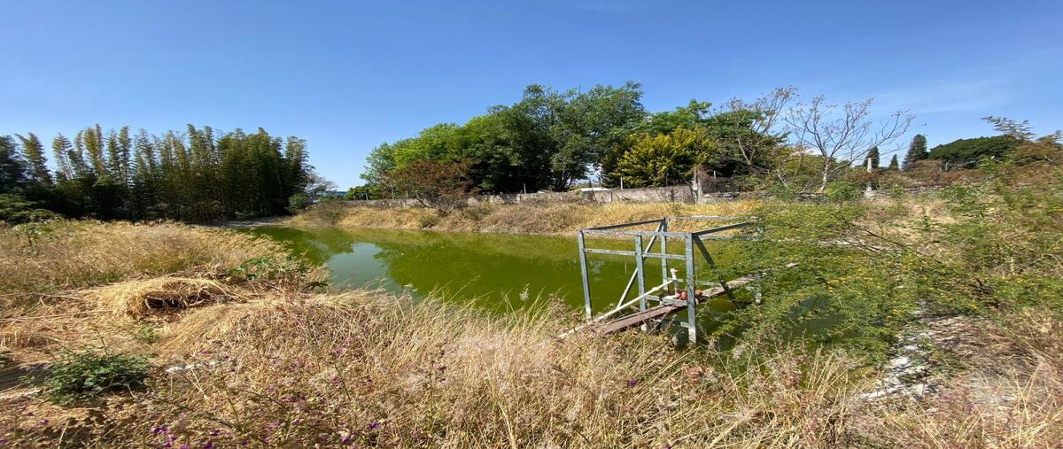 Foto de rancho en venta en  , la joya (agropecuaria tenextepec), atlixco, puebla, 26527351 No. 04