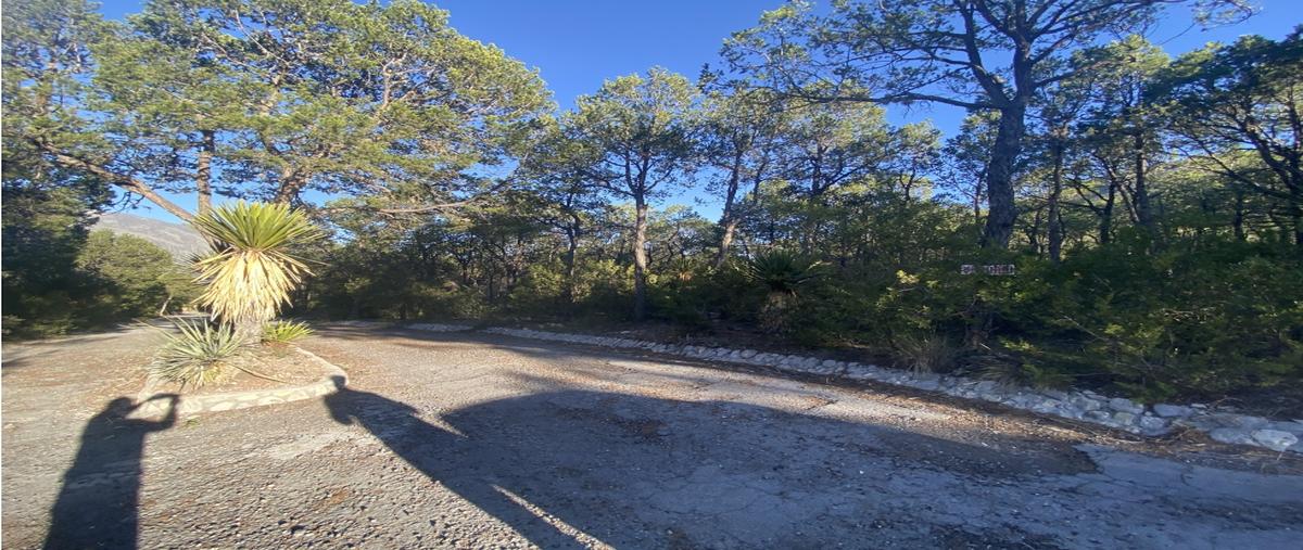 Foto de terreno habitacional en venta en  , la joya, arteaga, coahuila de zaragoza, 0 No. 03